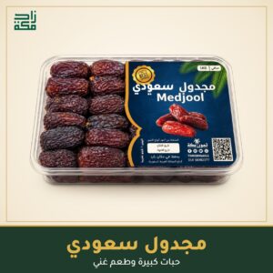 مجدول سعودي زاد مكة