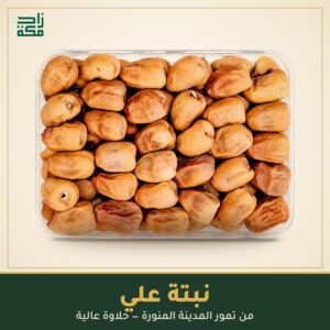 نبتة علي نبتة علي - زاد مكة